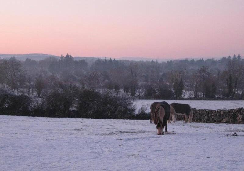 בית מלון כפרי Mountain View Guesthouse