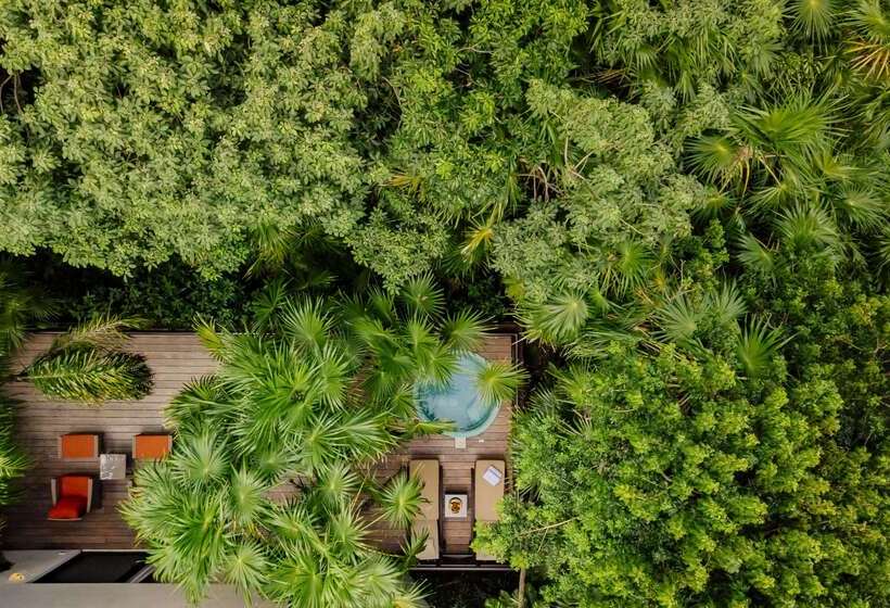 فندق Occidental At Xcaret Destination   All Inclusive