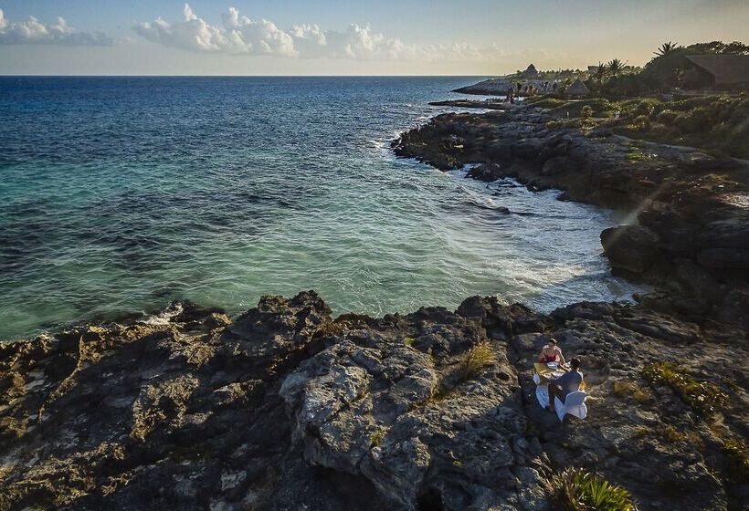 فندق Occidental At Xcaret Destination   All Inclusive