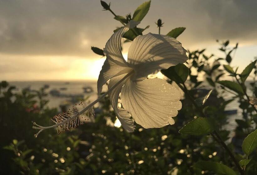 בית מלון כפרי Portaló