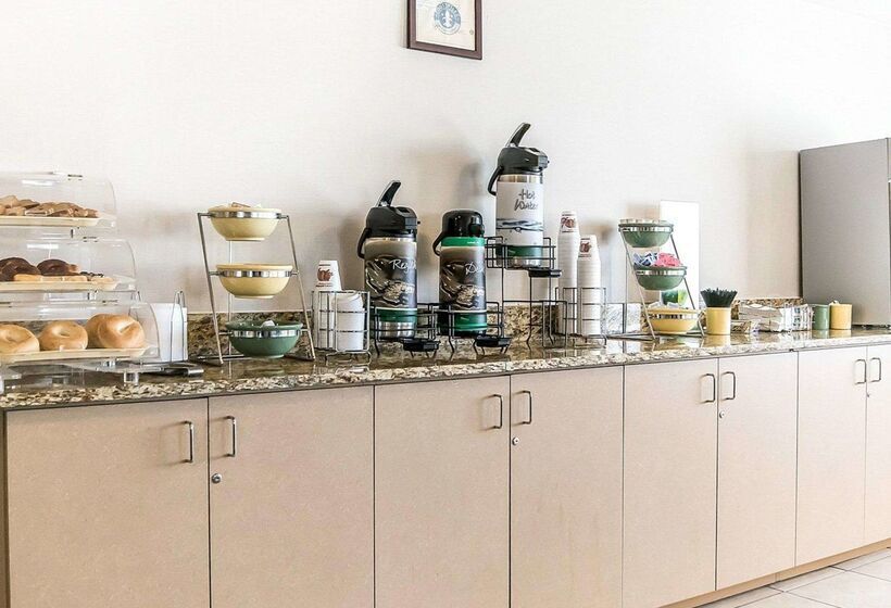 酒店 Quality Inn & Suites University Airport