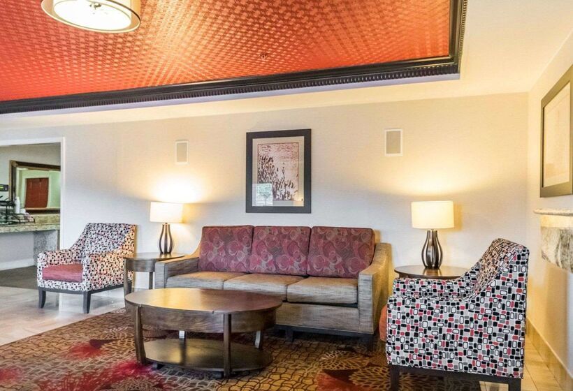 酒店 Quality Inn & Suites University Airport