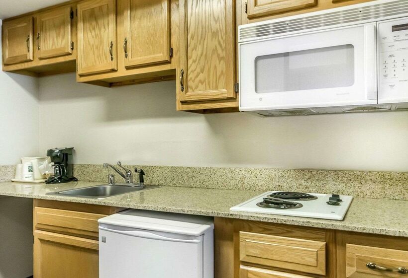 酒店 Quality Inn & Suites University Airport