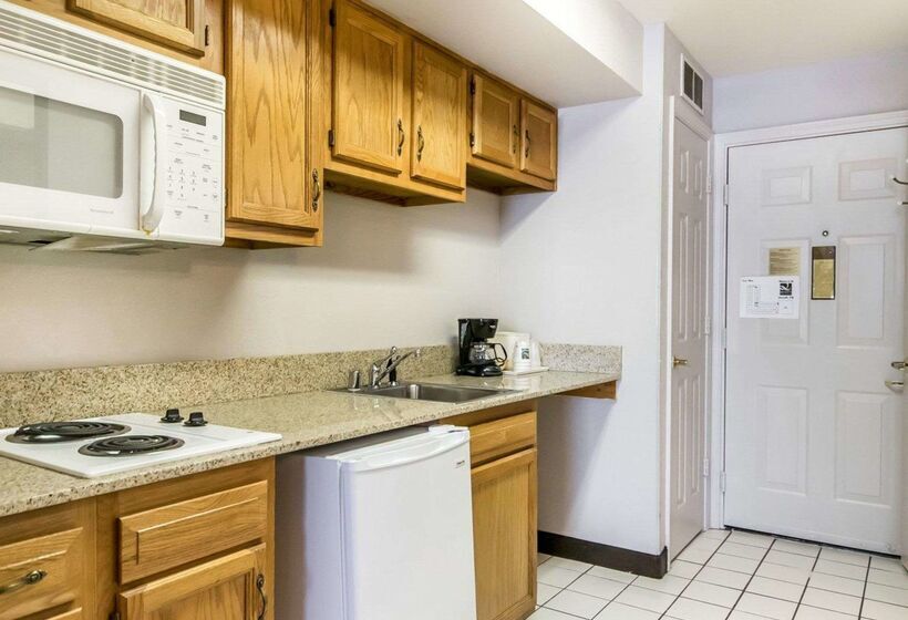 酒店 Quality Inn & Suites University Airport