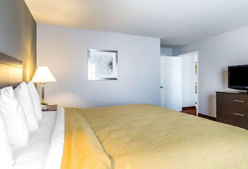 酒店 Quality Inn & Suites University Airport