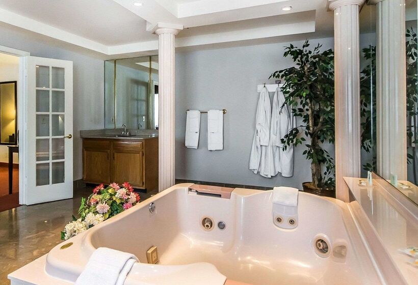 酒店 Quality Inn & Suites University Airport