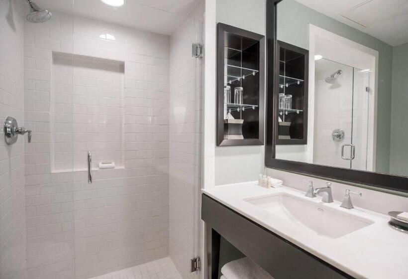 Отель Renaissance New Orleans Pere Marquette French Quarter Area