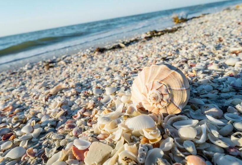 فندق Sanibel Island Beach Resort