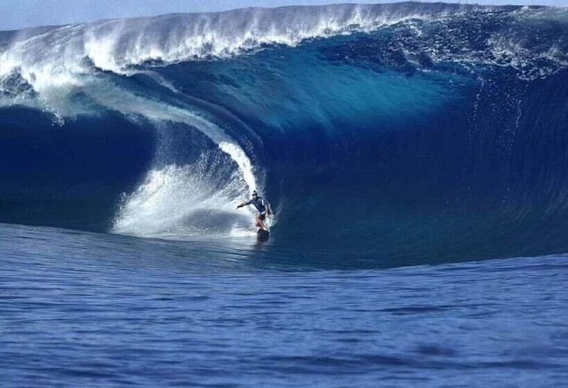 בית מלון כפרי Shamrock Inn