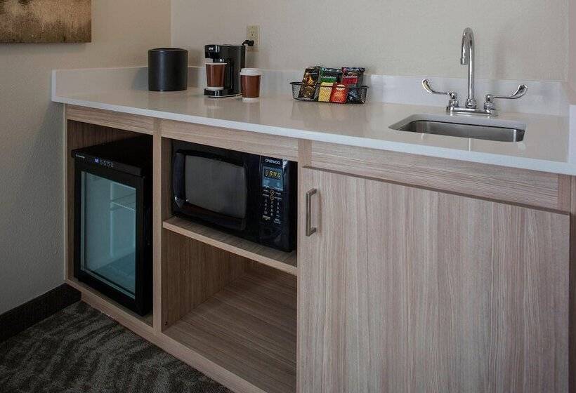 هتل Springhill Suites By Marriott New Orleans Warehouse Arts District