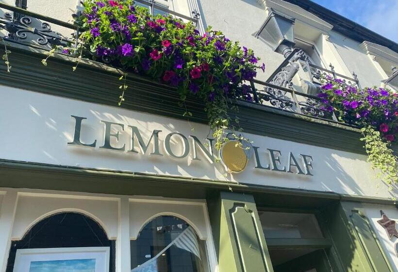 ホテル The Lemon Leaf Café Bar And Townhouse