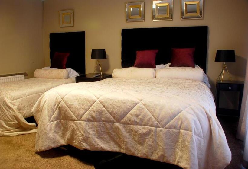 Отель The Metropole