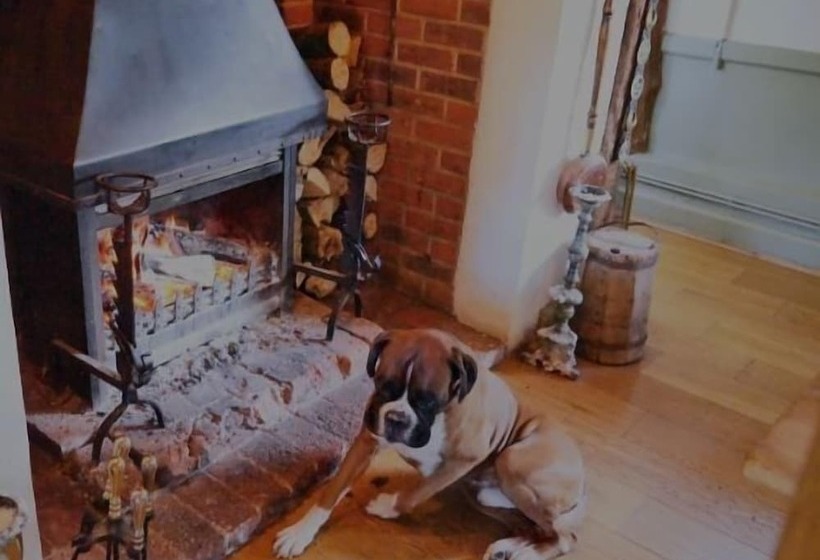 Отель The Stonemasons Inn