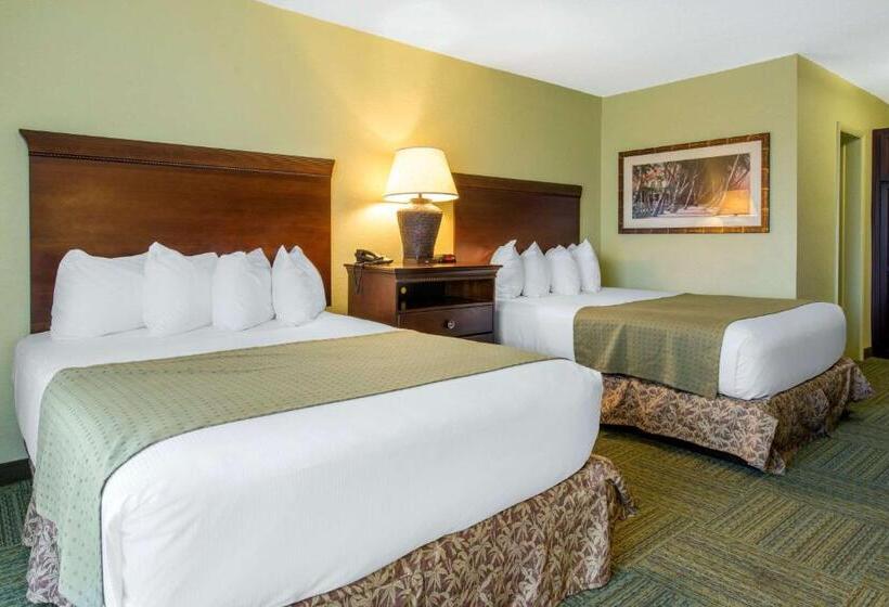 Treasure Island Hotel And Marina