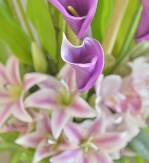 ホテル Unic Renoir Saint Germain