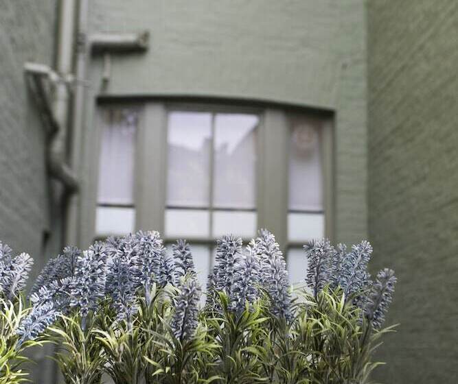 Vancouver Hotel And Studios