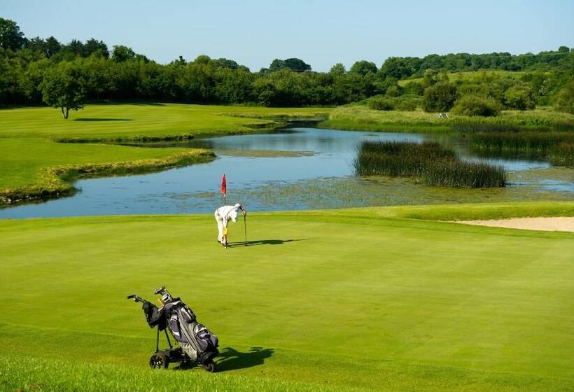 فندق Woodstock Ennis