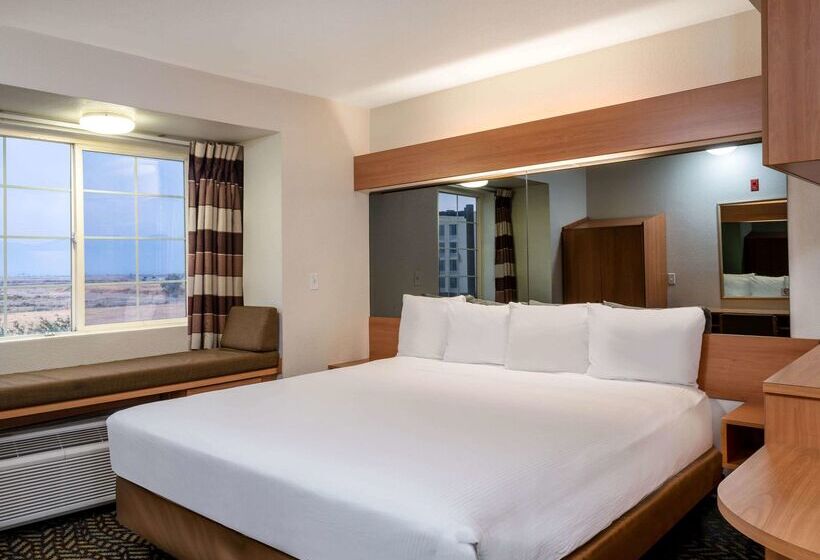 Microtel Inn & Suites By Wyndham Salt Lake City Airport