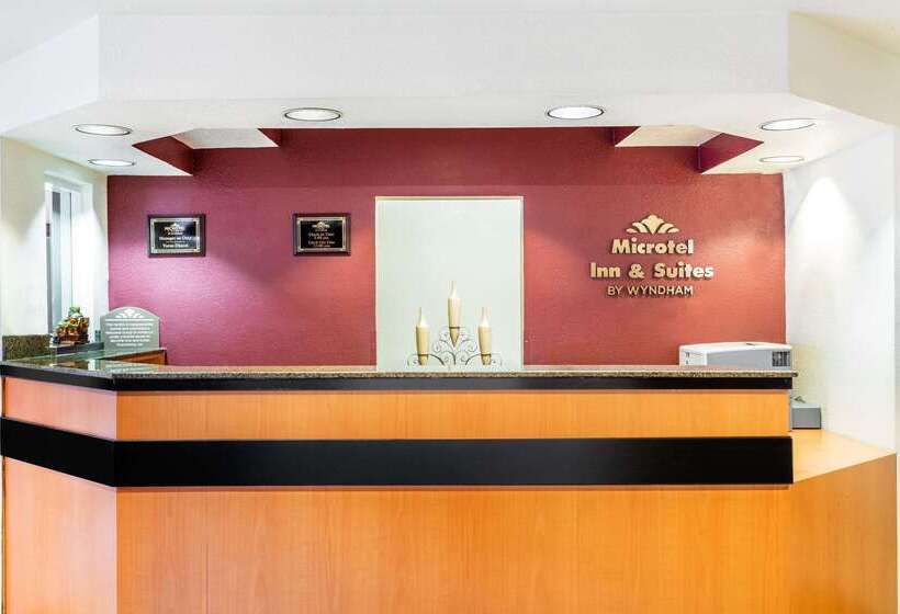 Microtel Inn & Suites By Wyndham Salt Lake City Airport