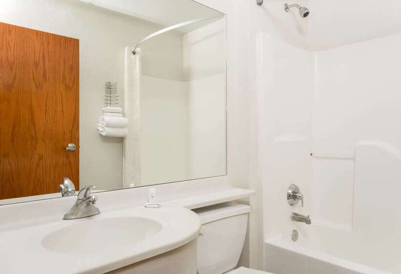 Microtel Inn & Suites By Wyndham Salt Lake City Airport