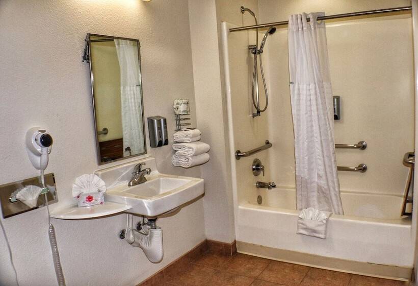 Microtel Inn & Suites By Wyndham Salt Lake City Airport