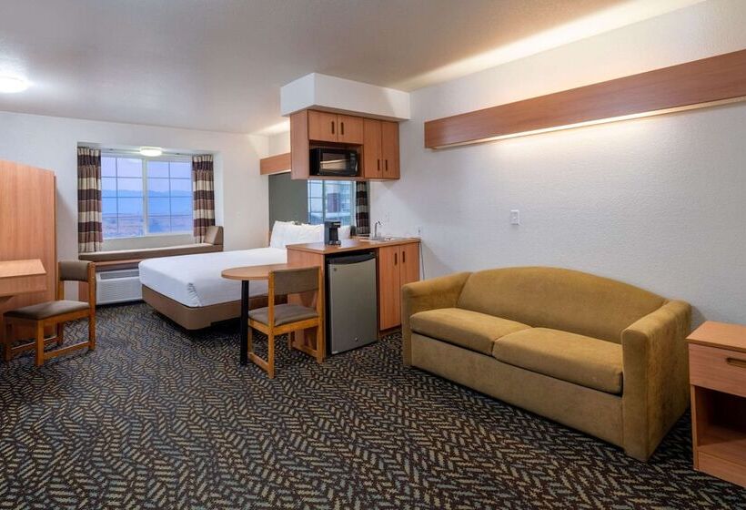 Microtel Inn & Suites By Wyndham Salt Lake City Airport