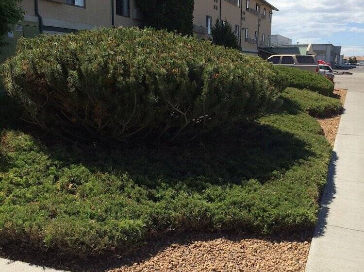 מוטל Super 8 By Wyndham Idaho Falls