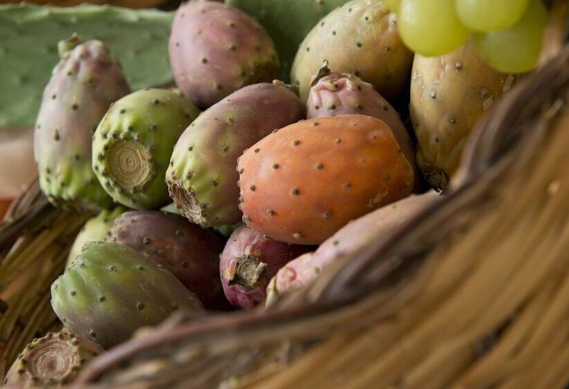 Park Hotel Sant Elia