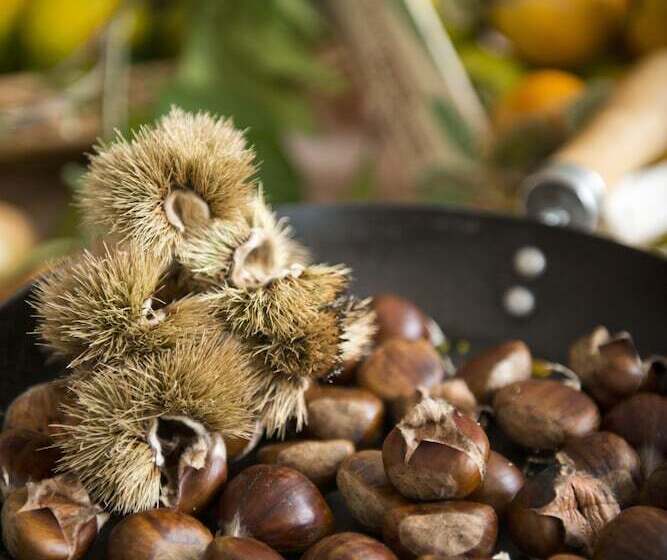 Park Hotel Sant Elia