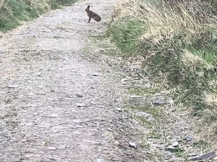 פנסיון Emlagh House