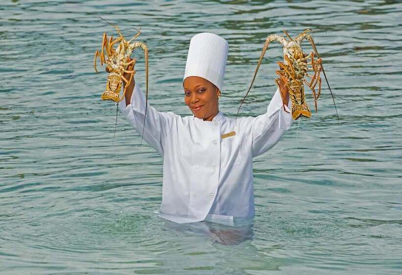 渡假胜地  Warwick Paradise Island Bahamas  All Inclusive  Adults Only