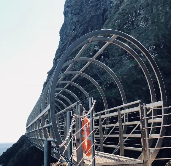 הוסטל Sixty Six