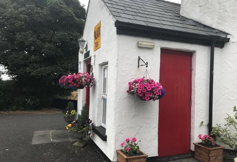 הוסטל Sixty Six