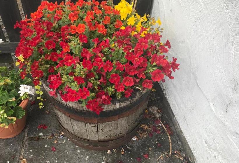 הוסטל Sixty Six