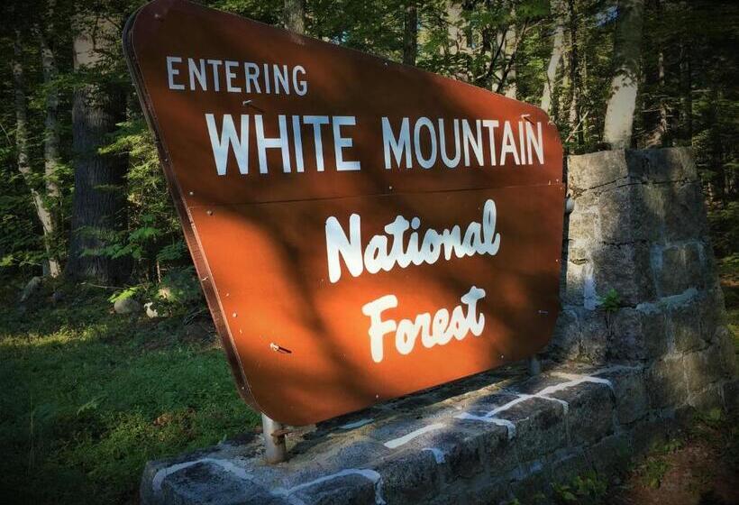 فندق صغير Center Lovell Inn