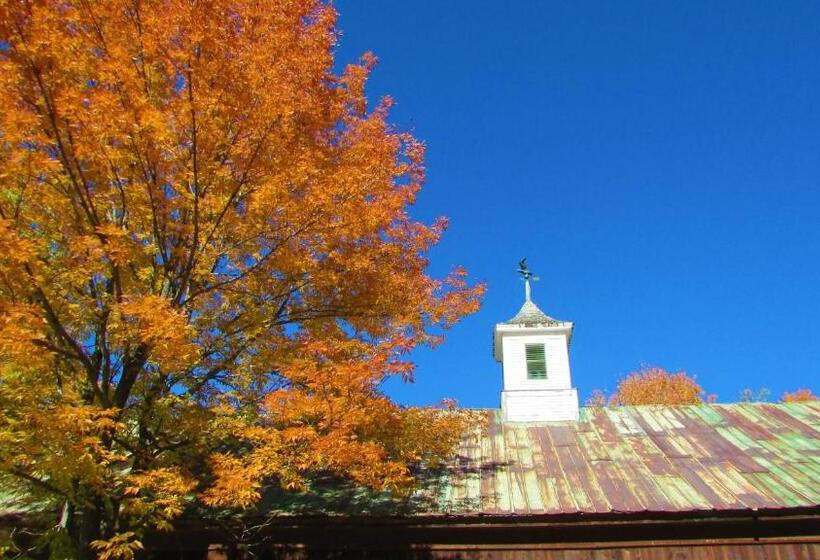 فندق صغير Center Lovell Inn