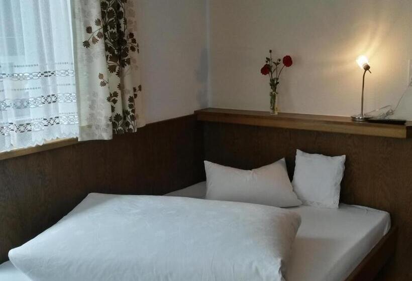 ユースホステル Gasthof Pension Traube