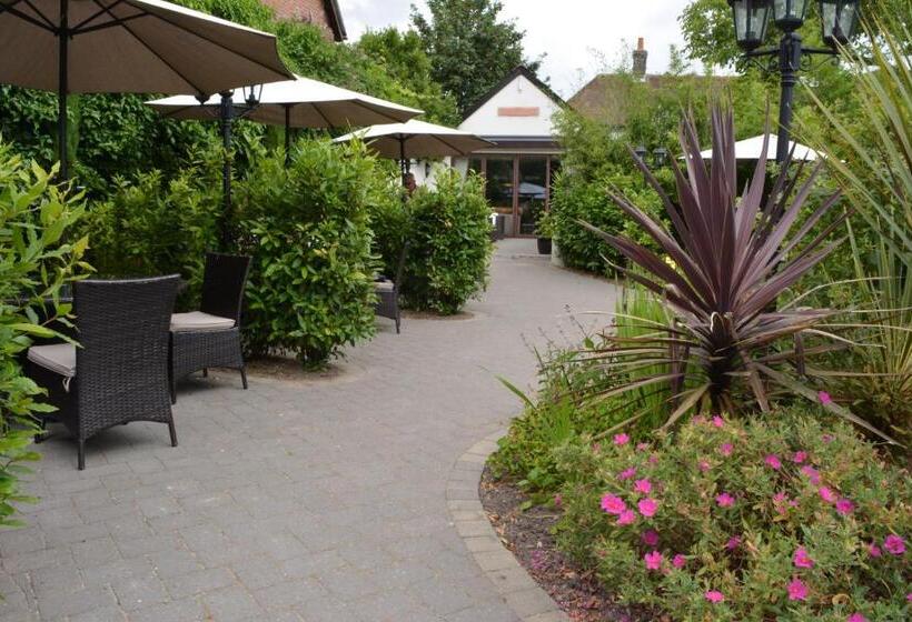 旅馆 Greyhound Inn