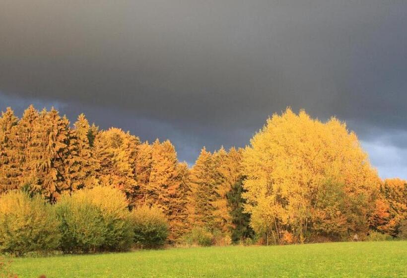 호스텔 Gästehaus Schreiner