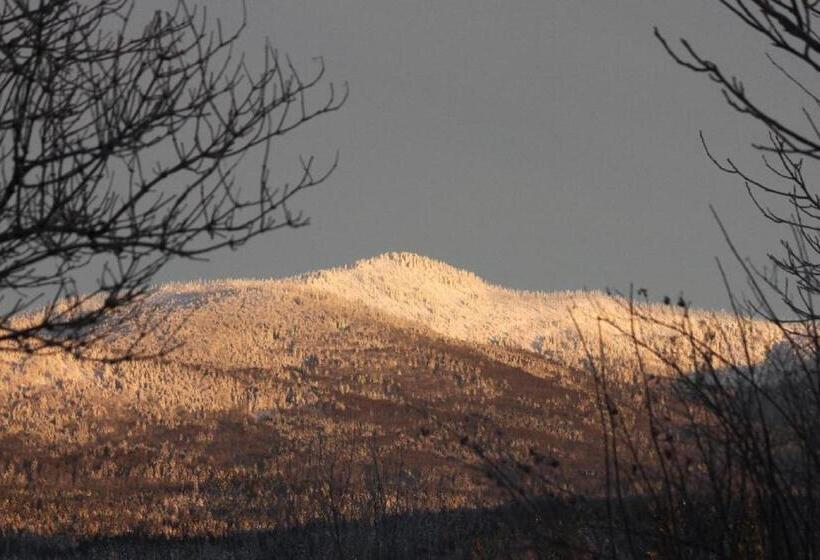 호스텔 Gästehaus Schreiner