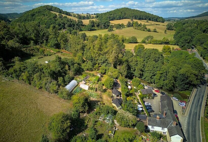 فندق صغير Riverside Inn, Aymestrey