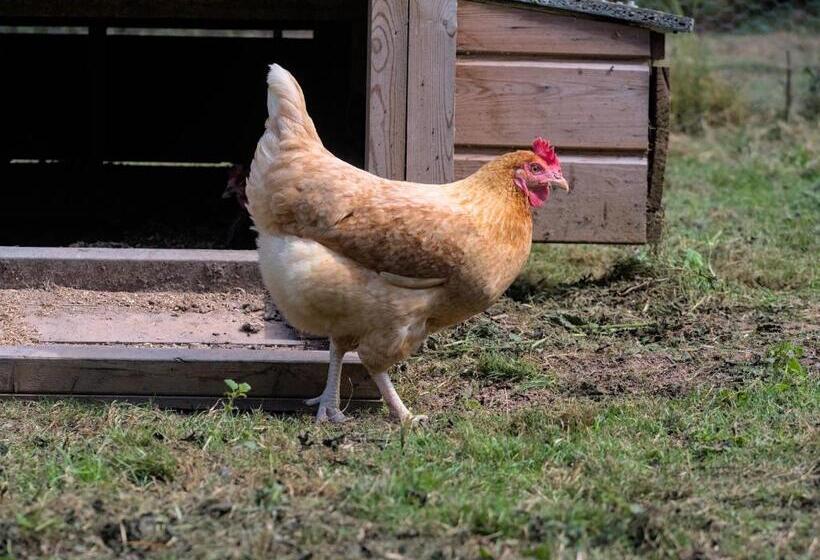 旅馆 Riverside Inn, Aymestrey