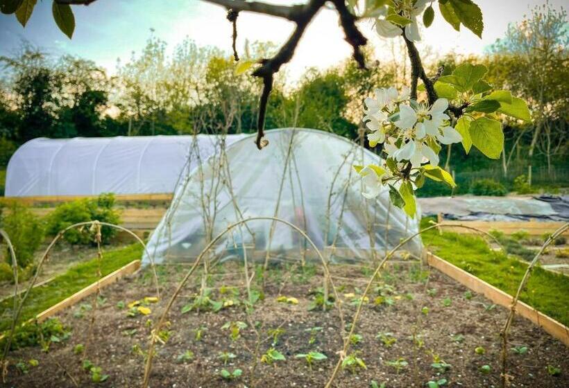 فندق صغير Riverside Inn, Aymestrey