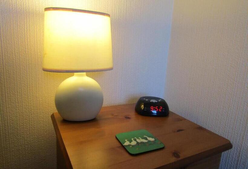 Общежитие The Belted Will Inn