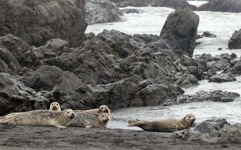 הוסטל The Oceanfront Inn