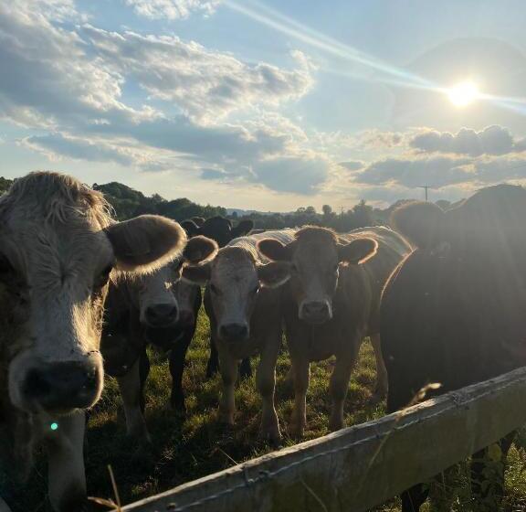 فندق صغير The Talbot At Knightwick