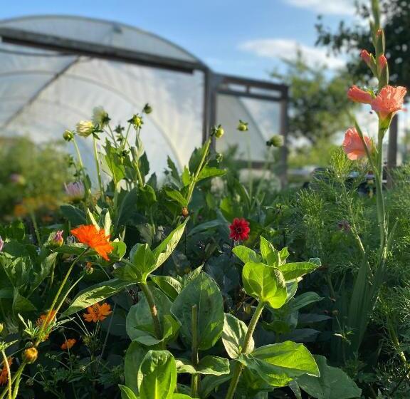 فندق صغير The Talbot At Knightwick