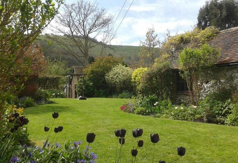 B&b South Downs Way