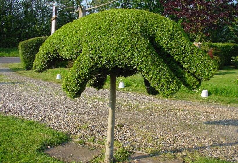 ベッドアンドブレックファースト Acreland Green