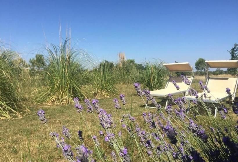 住宿加早餐  Agriturismo Tre Di Spade